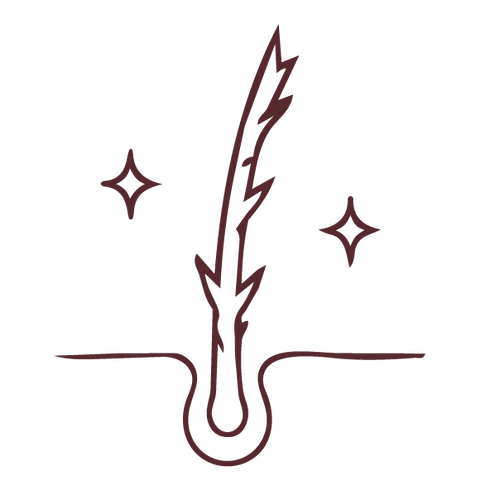 الشعر المتضرر