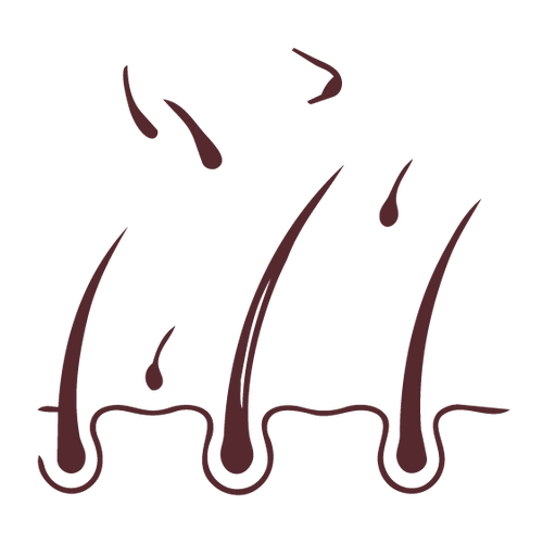 التساقط