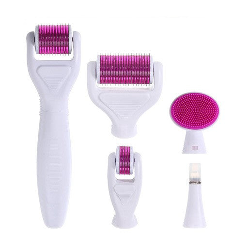 6in1 Derma Roller System درما رولر 6 في 1